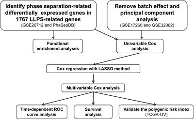 A Liquid-Liquid Phase Separation-Related Gene Signature as Prognostic Biomarker for Epithelial Ovarian Cancer